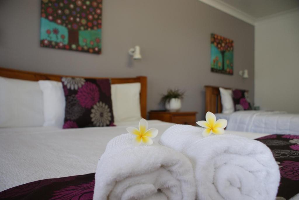 Karuah Riverside Motel Room photo